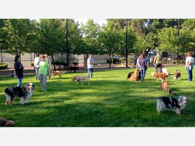 Del Sur Dog Parks