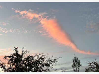 The Mystery That Is Del Sur