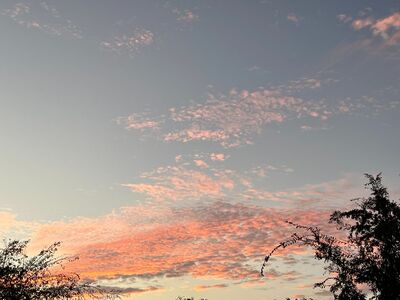 The Eclipse Was a Bust, but...