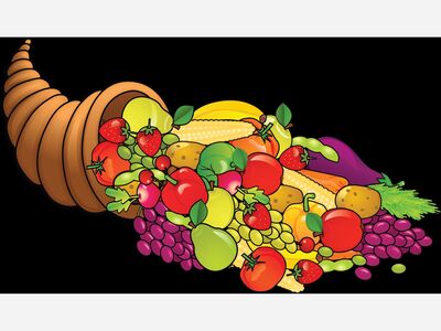 Littering Laws & Penalties